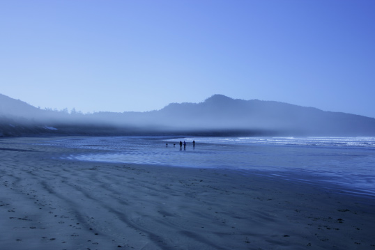 Beach, Tofino BC
